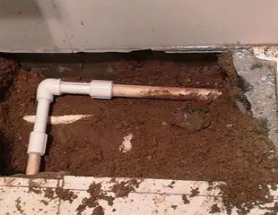 绍兴测漏水哪家好